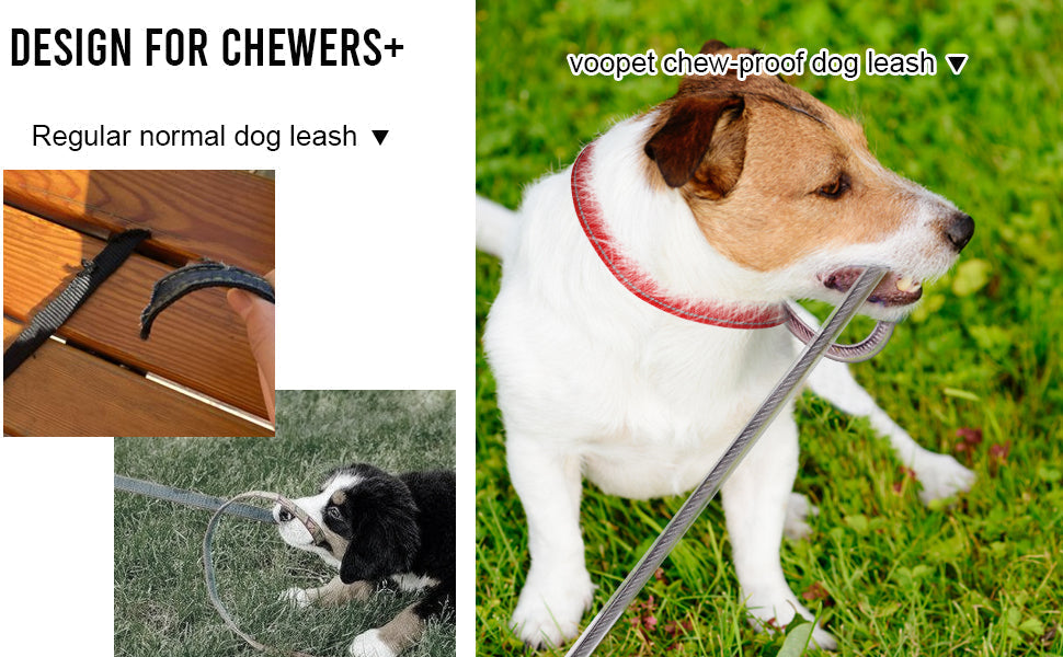 Chew‑Proof Leash Extension